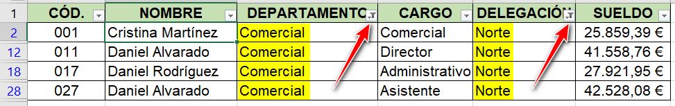 Filtrar en Excel varios datos