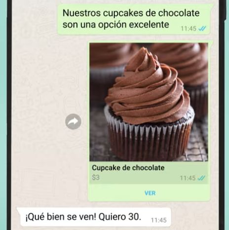  Pasos para compartir tu catálogo de WhatsApp 