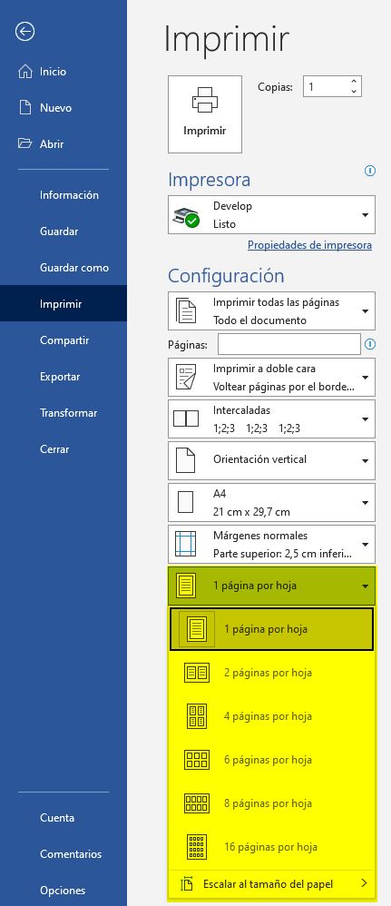 Imprimir más de una página de Word por hoja