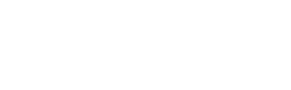 logo-image